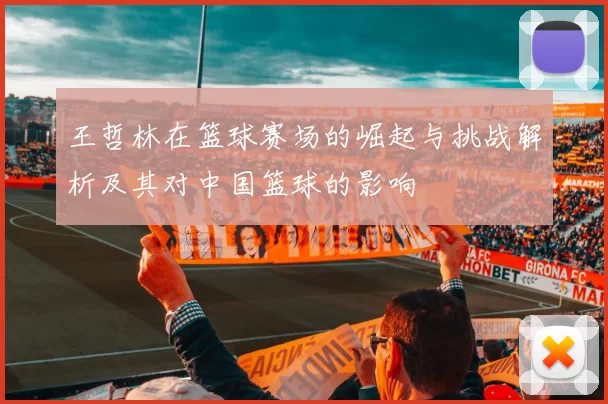 王哲林在篮球赛场的崛起与挑战解析及其对中国篮球的影响