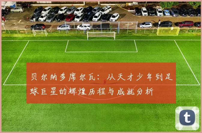 贝尔纳多席尔瓦：从天才少年到足球巨星的辉煌历程与成就分析